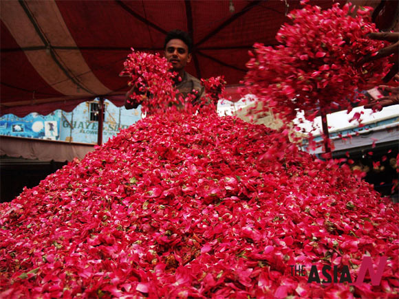 파키스탄 축제, 사랑을 전하는 장미