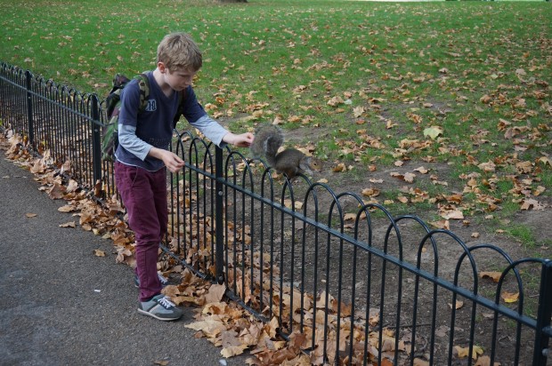 다람쥐가 공원에 등장하자 아이가 즐거워하고 있다.