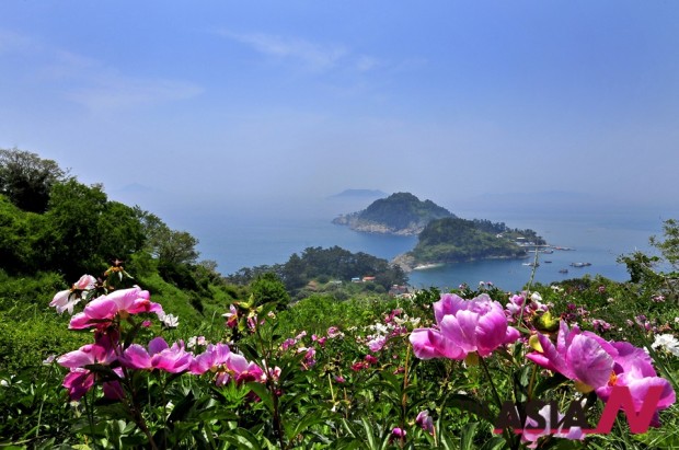경남 통영시 산양읍 만지도 